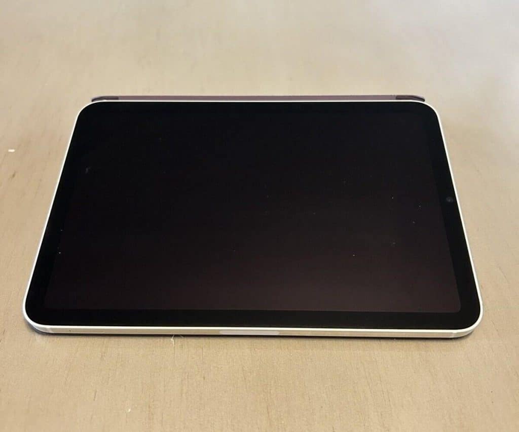 Apple iPad Mini Display